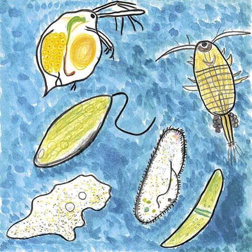 スマイルキッズ作品ギャラリー ナチュラルサイエンス 低刺激コスメ スキンケア通販