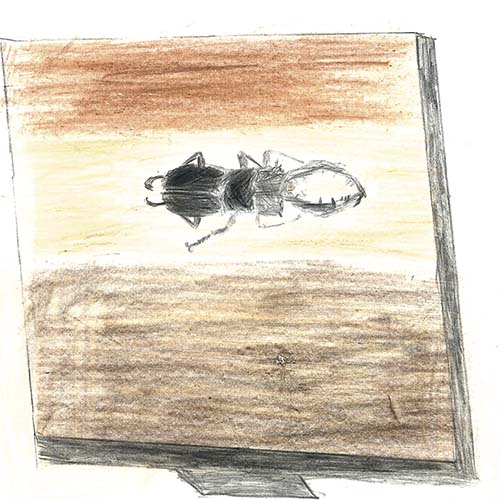 スマイルキッズ作品ギャラリー ナチュラルサイエンス 低刺激コスメ スキンケア通販